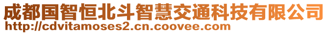 成都國智恒北斗智慧交通科技有限公司