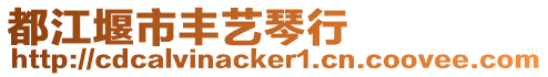 都江堰市豐藝琴行