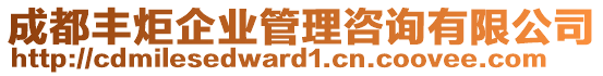 成都豐炬企業(yè)管理咨詢有限公司