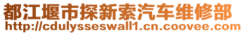 都江堰市探新索汽車維修部