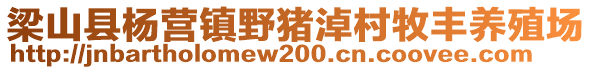 梁山縣楊營鎮(zhèn)野豬淖村牧豐養(yǎng)殖場