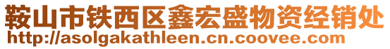 鞍山市鐵西區(qū)鑫宏盛物資經(jīng)銷處