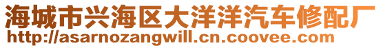 海城市興海區(qū)大洋洋汽車修配廠