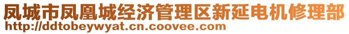 鳳城市鳳凰城經(jīng)濟(jì)管理區(qū)新延電機(jī)修理部