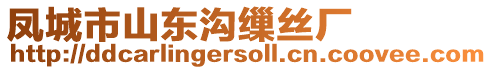 鳳城市山東溝繅絲廠