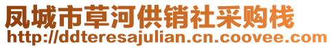 凤城市草河供销社采购栈