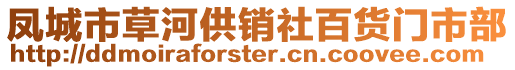 鳳城市草河供銷社百貨門市部