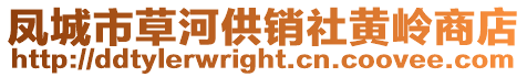 鳳城市草河供銷社黃嶺商店