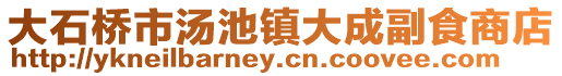 大石桥市汤池镇大成副食商店