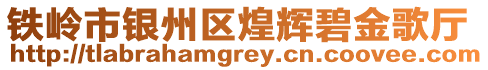 鐵嶺市銀州區(qū)煌輝碧金歌廳