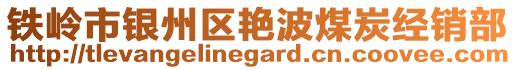 鐵嶺市銀州區(qū)艷波煤炭經(jīng)銷部