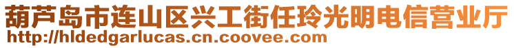 葫蘆島市連山區(qū)興工街任玲光明電信營(yíng)業(yè)廳