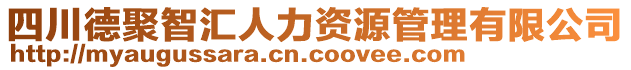 四川德聚智匯人力資源管理有限公司