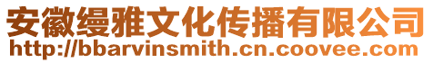 安徽縵雅文化傳播有限公司