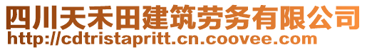 四川天禾田建筑勞務(wù)有限公司