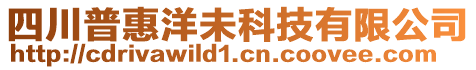 四川普惠洋未科技有限公司