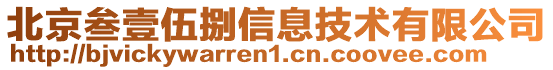 北京叁壹伍捌信息技術(shù)有限公司