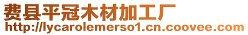 費(fèi)縣平冠木材加工廠