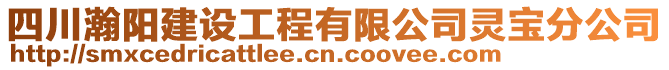 四川瀚陽建設(shè)工程有限公司靈寶分公司