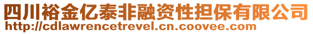 四川裕金億泰非融資性擔(dān)保有限公司