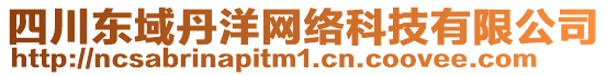 四川東域丹洋網(wǎng)絡(luò)科技有限公司