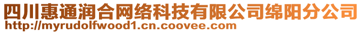 四川惠通潤合網(wǎng)絡(luò)科技有限公司綿陽分公司