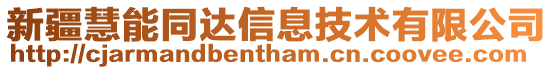 新疆慧能同達信息技術(shù)有限公司