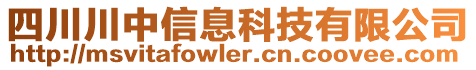 四川川中信息科技有限公司