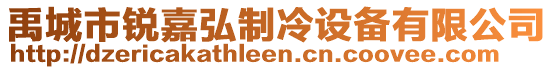 禹城市銳嘉弘制冷設(shè)備有限公司