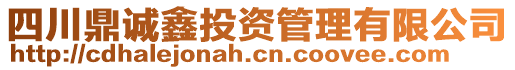 四川鼎誠鑫投資管理有限公司