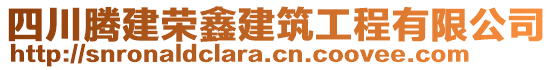 四川騰建榮鑫建筑工程有限公司