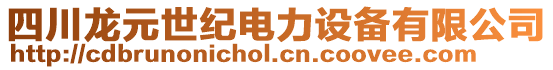 四川龍?jiān)兰o(jì)電力設(shè)備有限公司