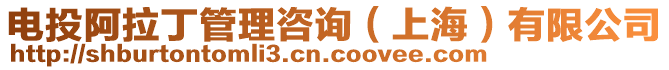 電投阿拉丁管理咨詢（上海）有限公司