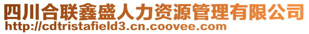 四川合聯(lián)鑫盛人力資源管理有限公司