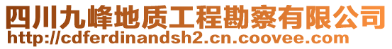 四川九峰地質(zhì)工程勘察有限公司