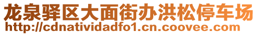 龍泉驛區(qū)大面街辦洪松停車場