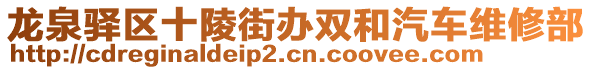 龍泉驛區十陵街辦雙和汽車維修部