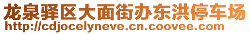 龍泉驛區(qū)大面街辦東洪停車場