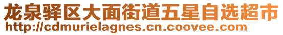 龍泉驛區(qū)大面街道五星自選超市