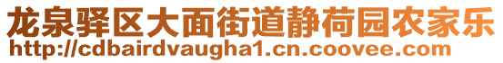 龍泉驛區(qū)大面街道靜荷園農(nóng)家樂