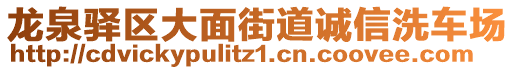 龍泉驛區(qū)大面街道誠(chéng)信洗車場(chǎng)