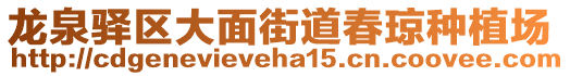 龍泉驛區(qū)大面街道春瓊種植場