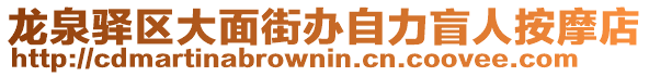 龍泉驛區(qū)大面街辦自力盲人按摩店