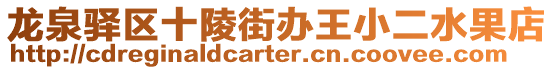 龍泉驛區(qū)十陵街辦王小二水果店