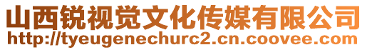 山西銳視覺(jué)文化傳媒有限公司