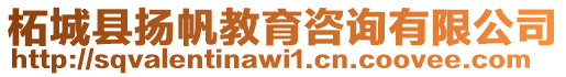 柘城縣揚帆教育咨詢有限公司