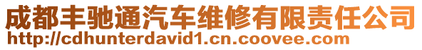 成都豐馳通汽車維修有限責任公司