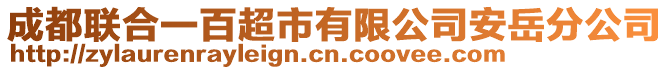 成都聯(lián)合一百超市有限公司安岳分公司