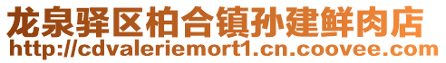 龍泉驛區柏合鎮孫建鮮肉店