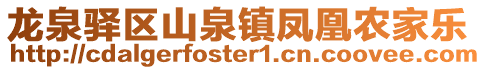 龍泉驛區(qū)山泉鎮(zhèn)鳳凰農(nóng)家樂